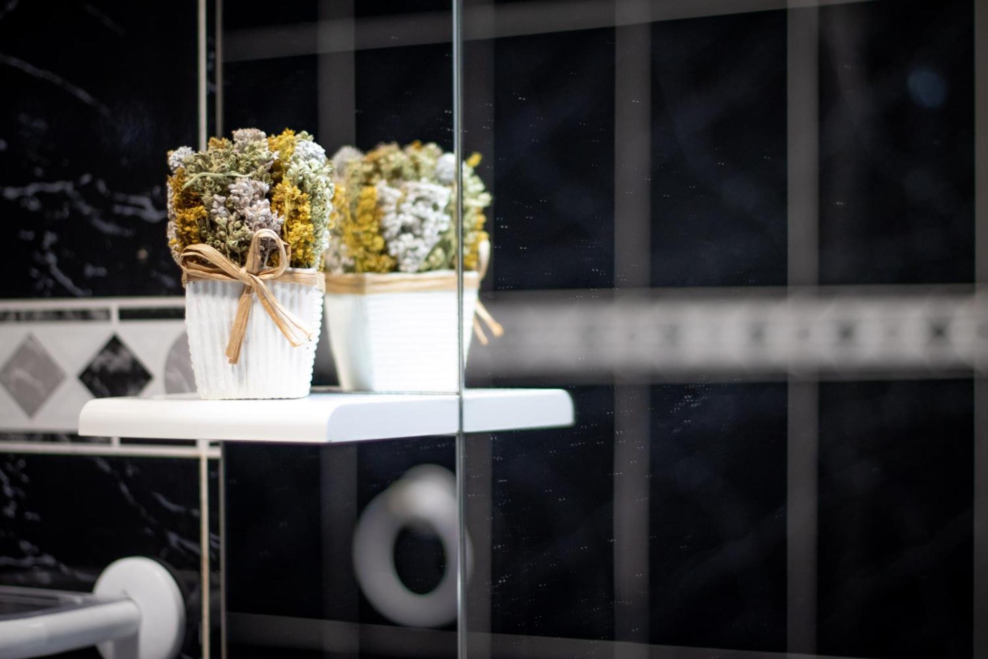 Apartament Wonder House Feteiras Zewnętrze zdjęcie